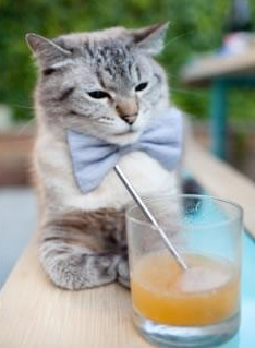 爱游戏官方-奇迹之夜，索伯车队惊险逆转红牛，拉塞尔闪耀全场