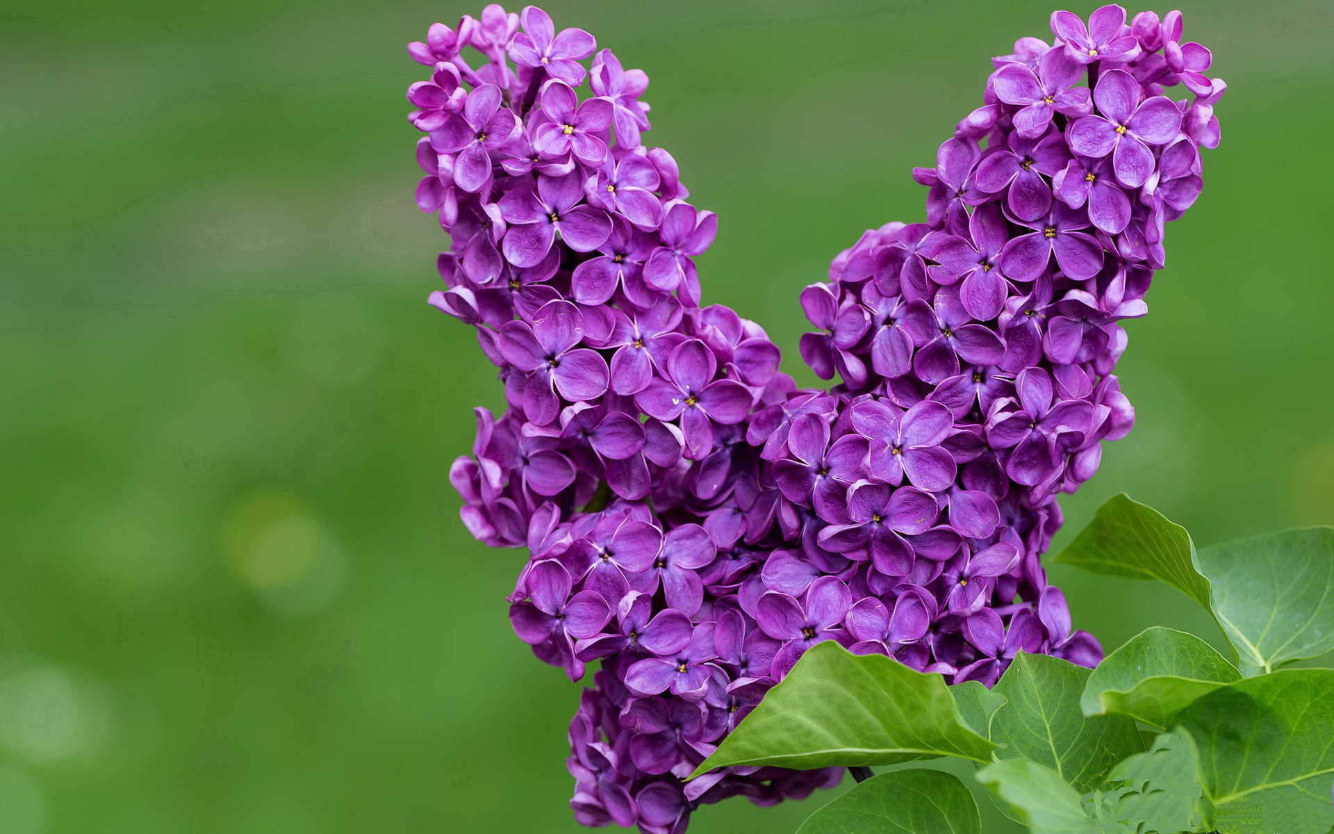 虚构的较量，当迪巴拉身披蓝白却点燃黄色海啸