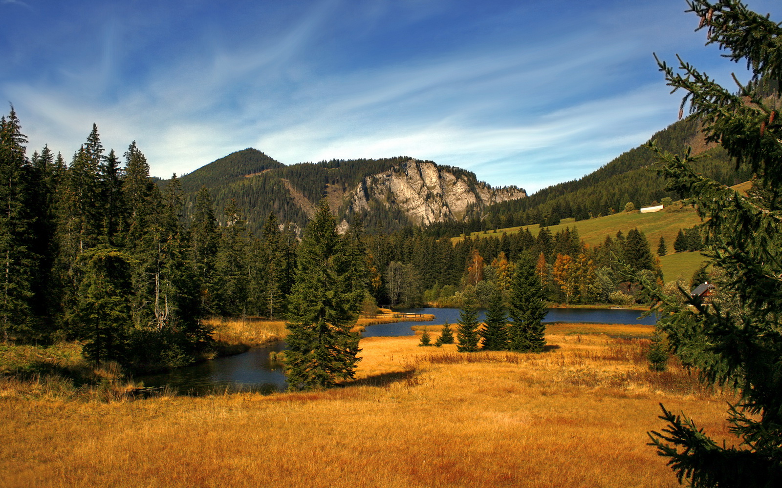 爱游戏在线-当杰伦·格林三分雨席卷杭州，一场跨越太平洋的对话提前终结悬念
