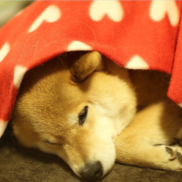 特洛伊木马潜入诺坎普，赖斯化身关键先生破解巴萨神话