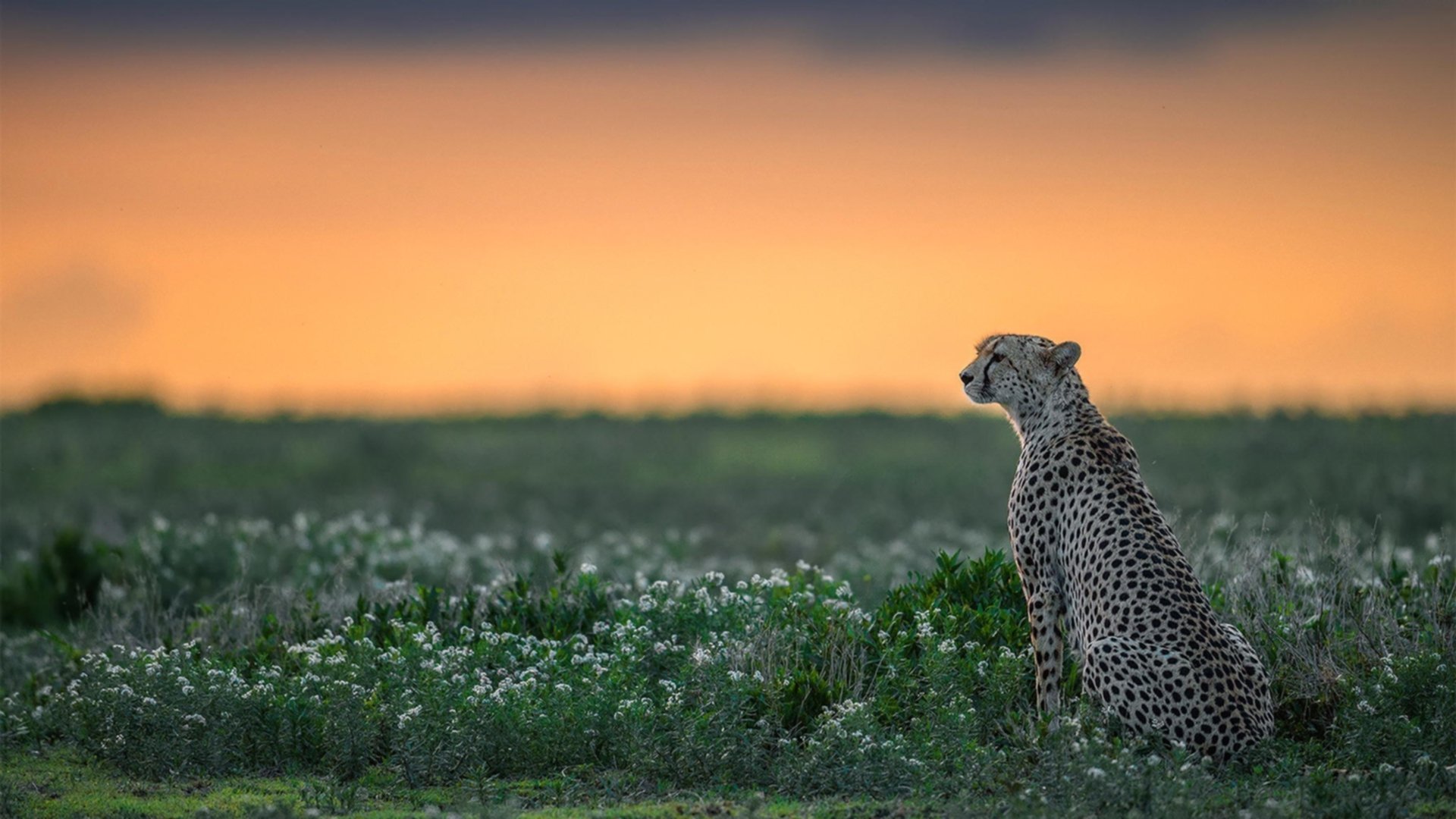 拉文审判日，一手扼住雷霆咽喉，将老鹰推入争冠版图的唯一之战