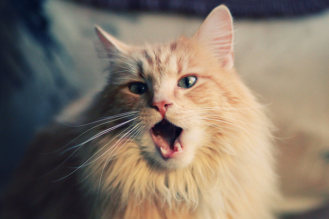 爱游戏下载-精密仪器，当英格拉姆在公牛主场拆解黄蜂