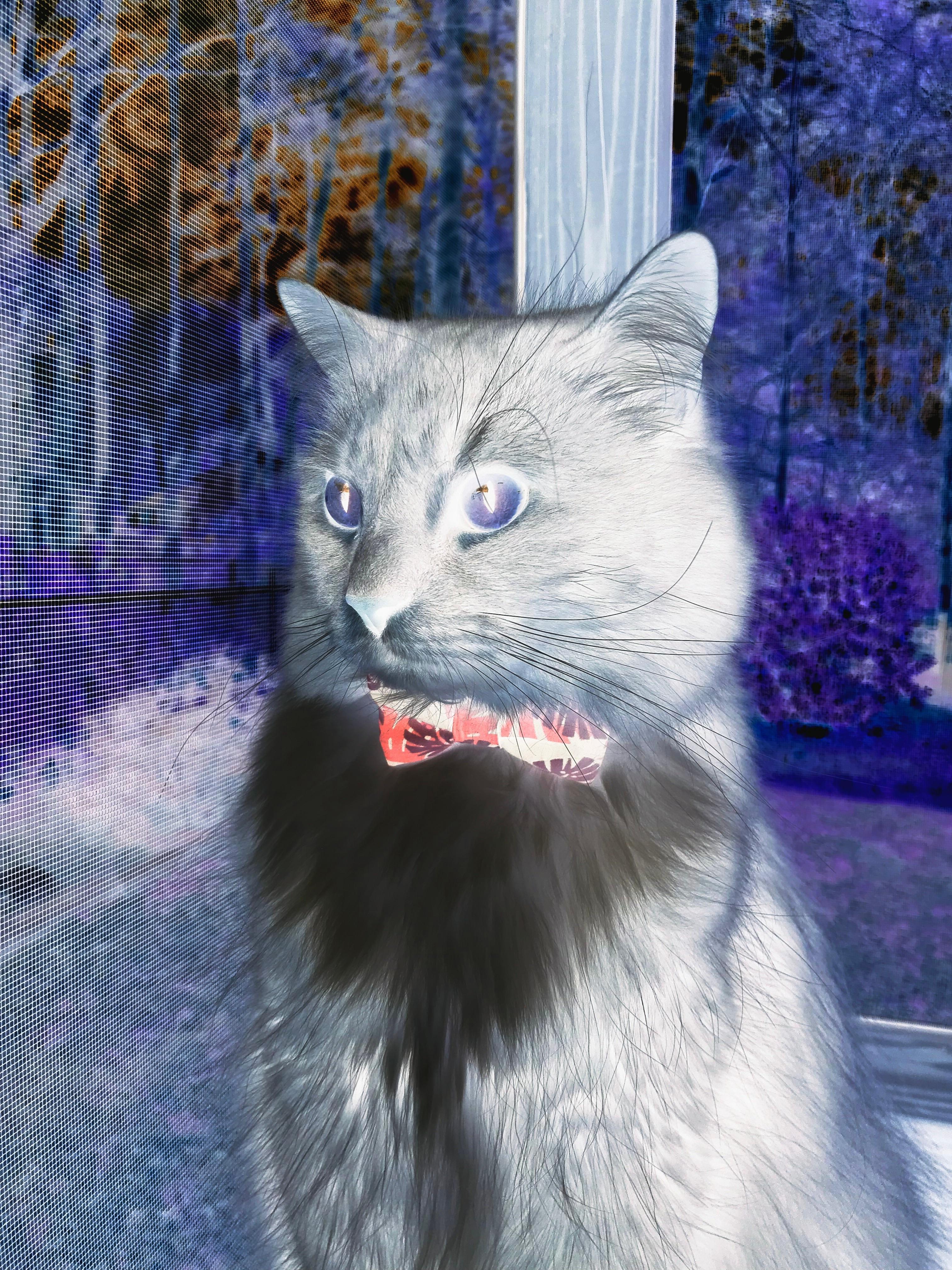 爱游戏tv-唯一性的闪耀，火箭强压公牛与塔图姆奥运关键战的接管艺术