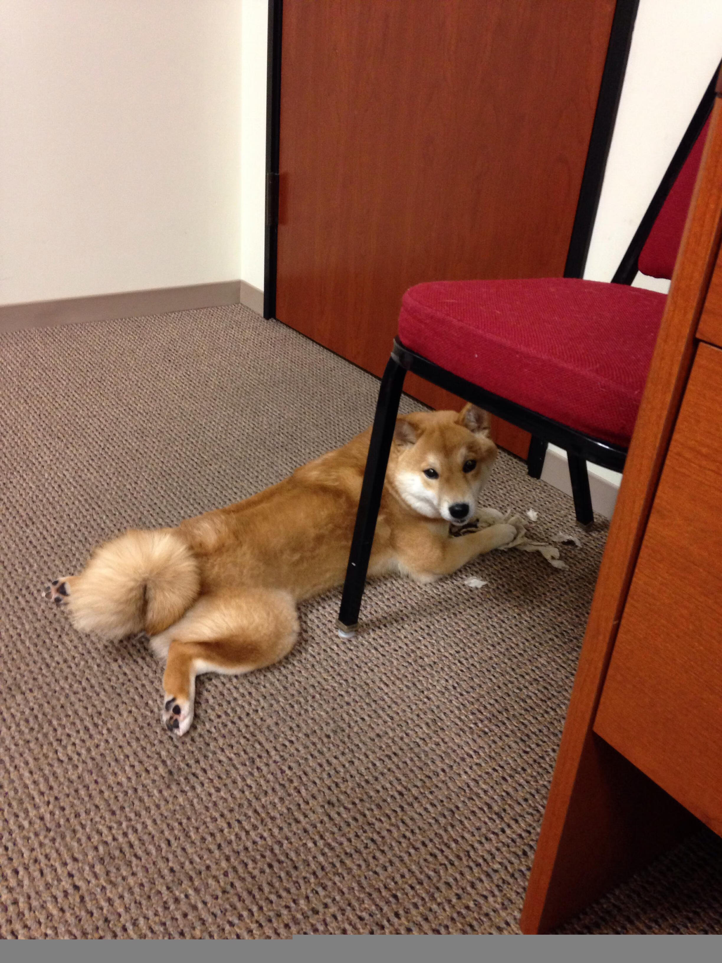 爱游戏tv-巴黎冷雨夜，福登一箭穿心，阿根廷王朝暗换人间