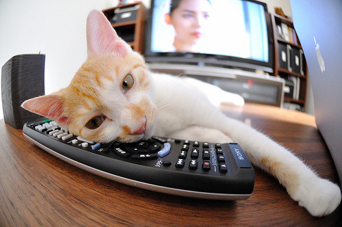 爱游戏下载-从底特律到多伦多，杰伦·格林的48分钟与三年之约