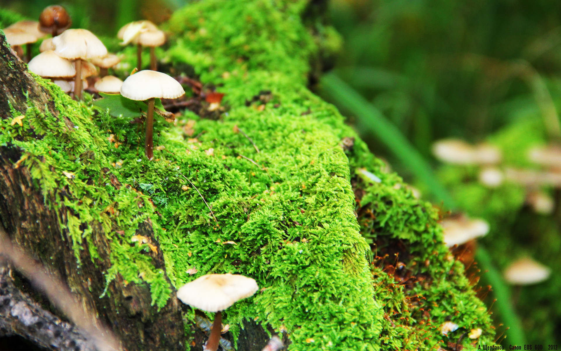 跨界火箭对决，当新疆重箭点燃休斯顿传奇夜