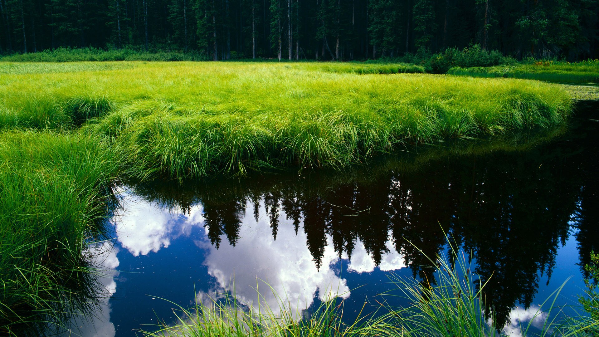 当圣西罗遇见五环，一场意甲焦点战与吉林爆冷的隔空对话