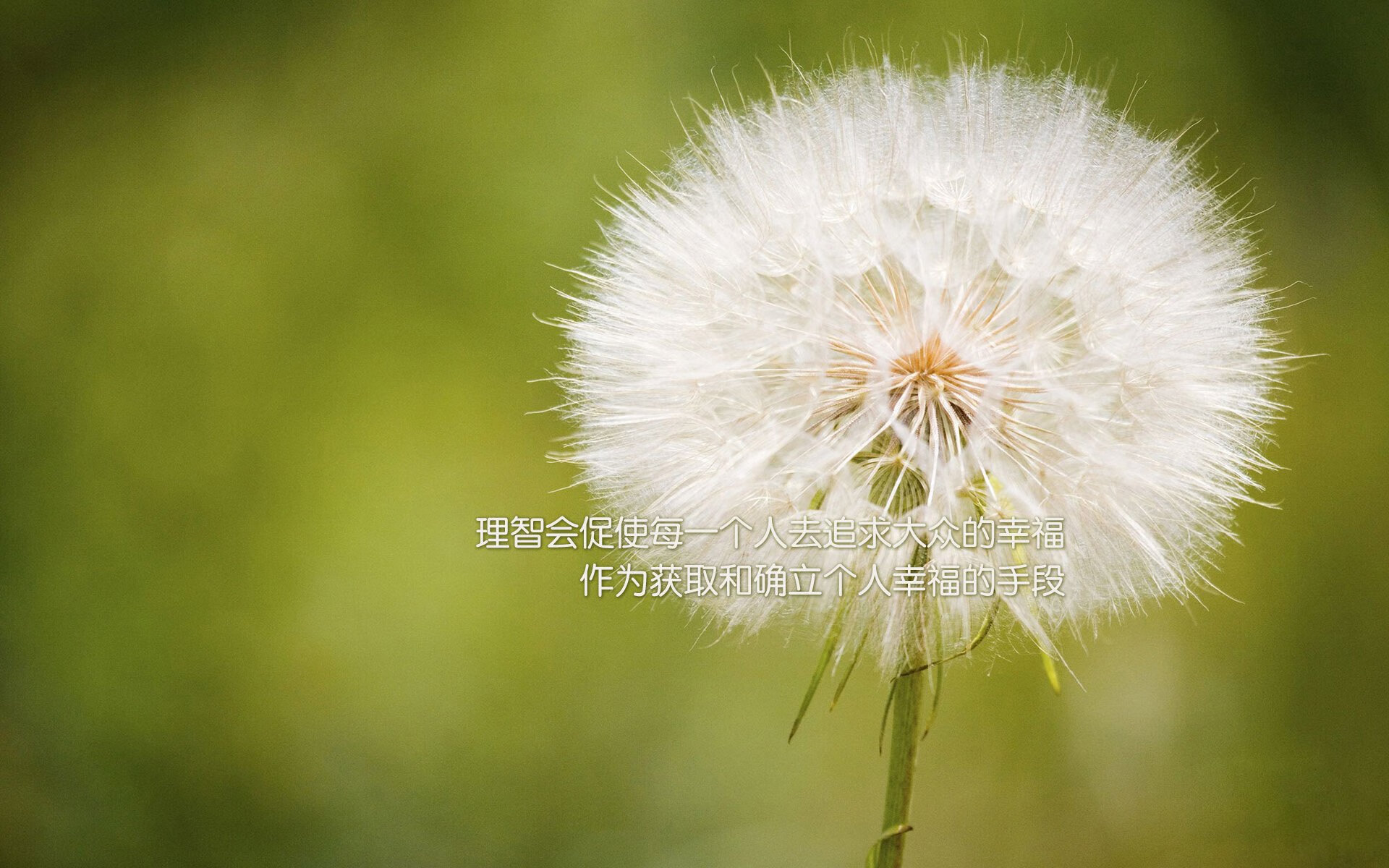 爆发与沉寂的奏鸣曲,当我们谈论格纳布里时,葡萄牙谈着别的