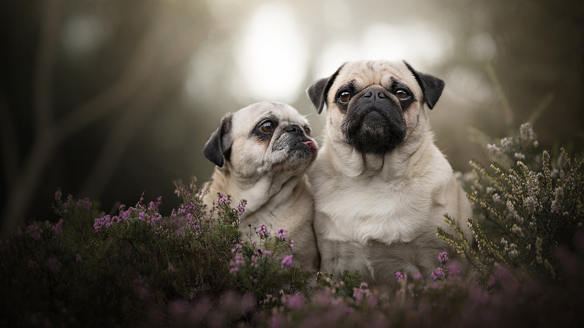 爱游戏官方-今夜，两个平行宇宙的篮球发生了量子纠缠
