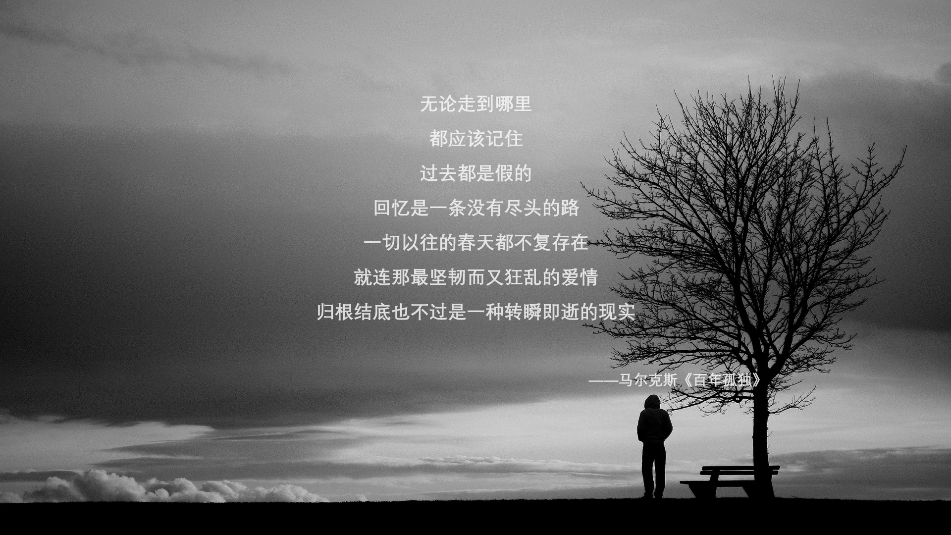 爱游戏体育-那一夜，枫叶红遍绿茵，2026世界杯半决赛，范戴克致命一击终结法兰西