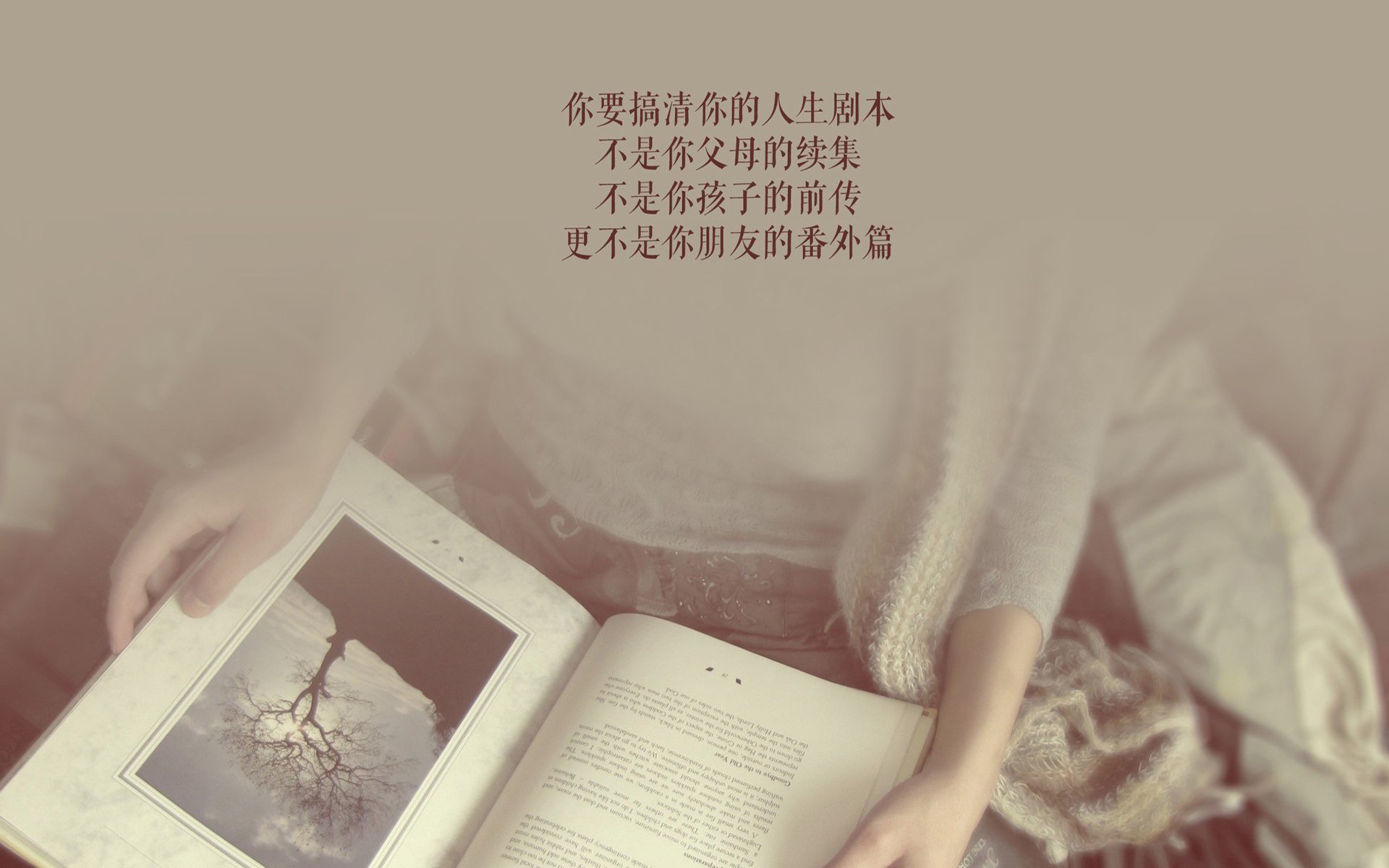 独步风云,2026世界杯D组生死战,努涅斯以节奏掌控书写葡萄牙胜局