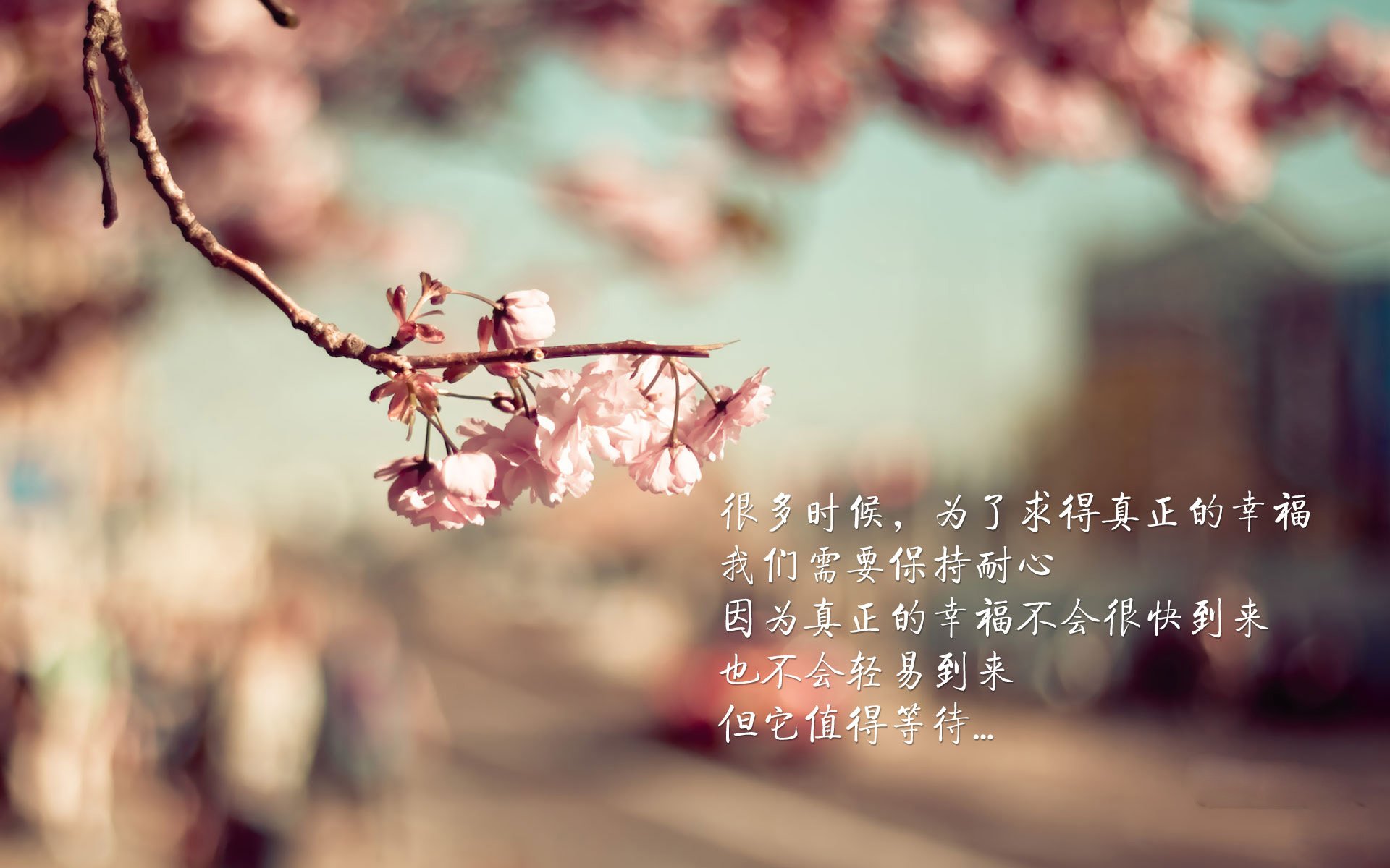 星光与暗影，2026世界杯H组，巴西的狂飙与齐耶赫的孤勇